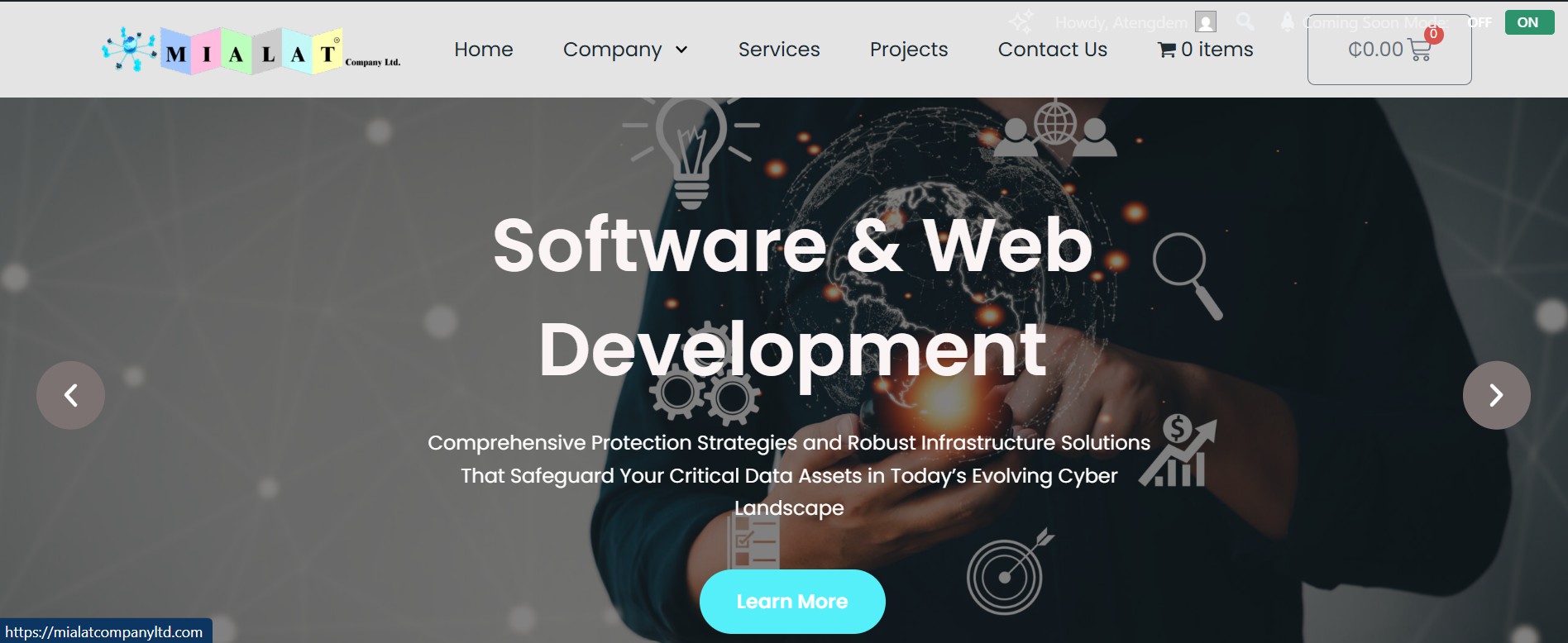 Mialat Company Ltd – Technology Consulting Company